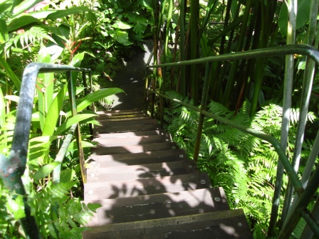 Tropical garden path Hawaii
